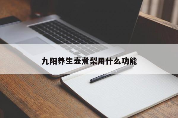 九阳养生壶煮梨用什么功能