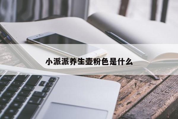 小派派养生壶粉色是什么